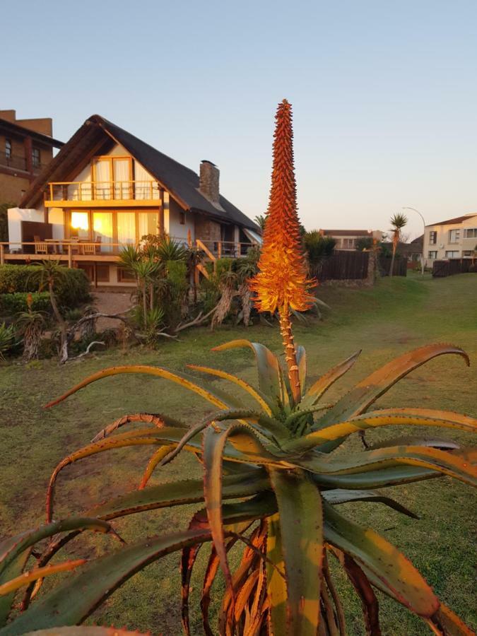 Dreamland Beach House & Studios At Supertubes Jeffreys Bay Exteriör bild